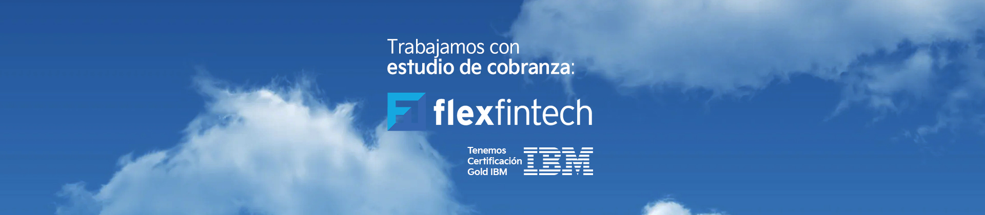 Flexfintech